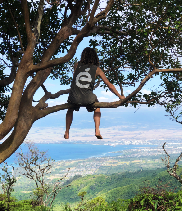 mitch-maui-tree-2017